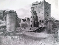 Belarney Castle