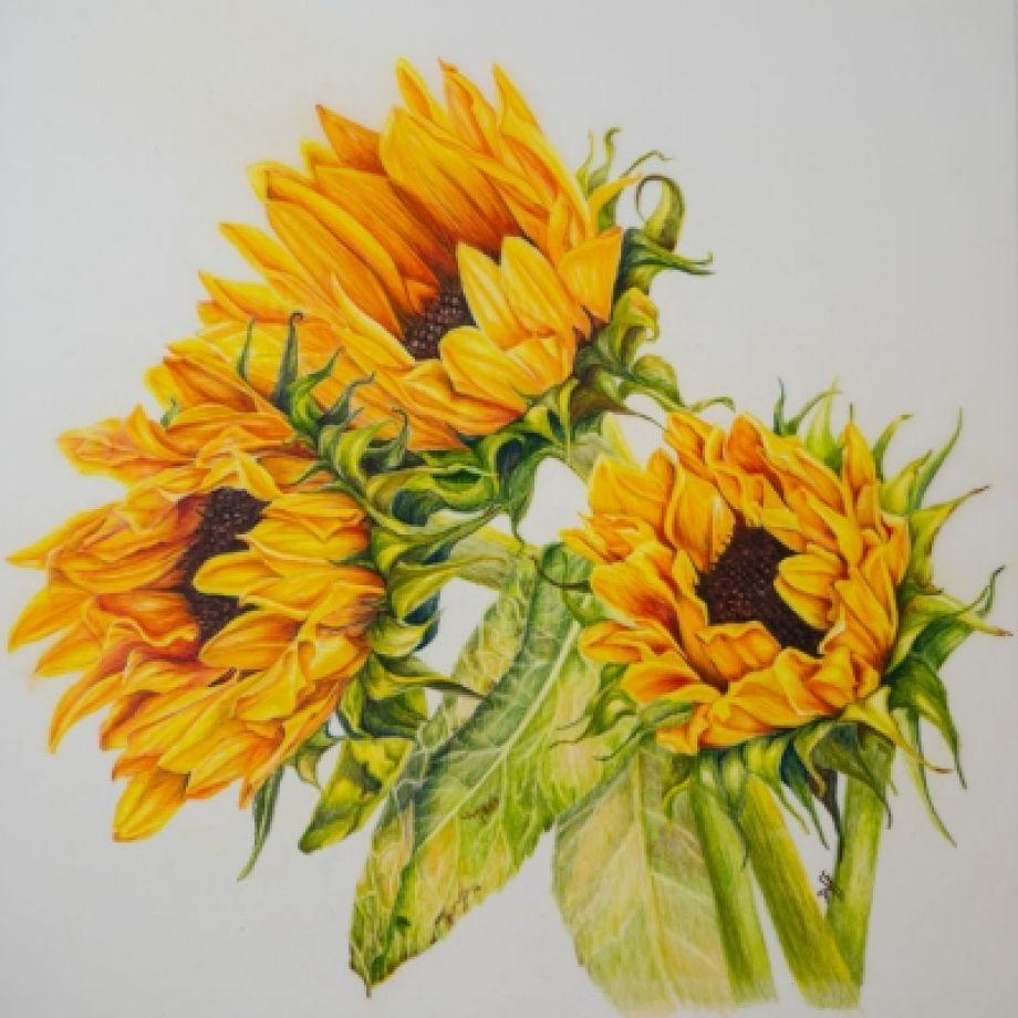 Artword by Duff Jennings