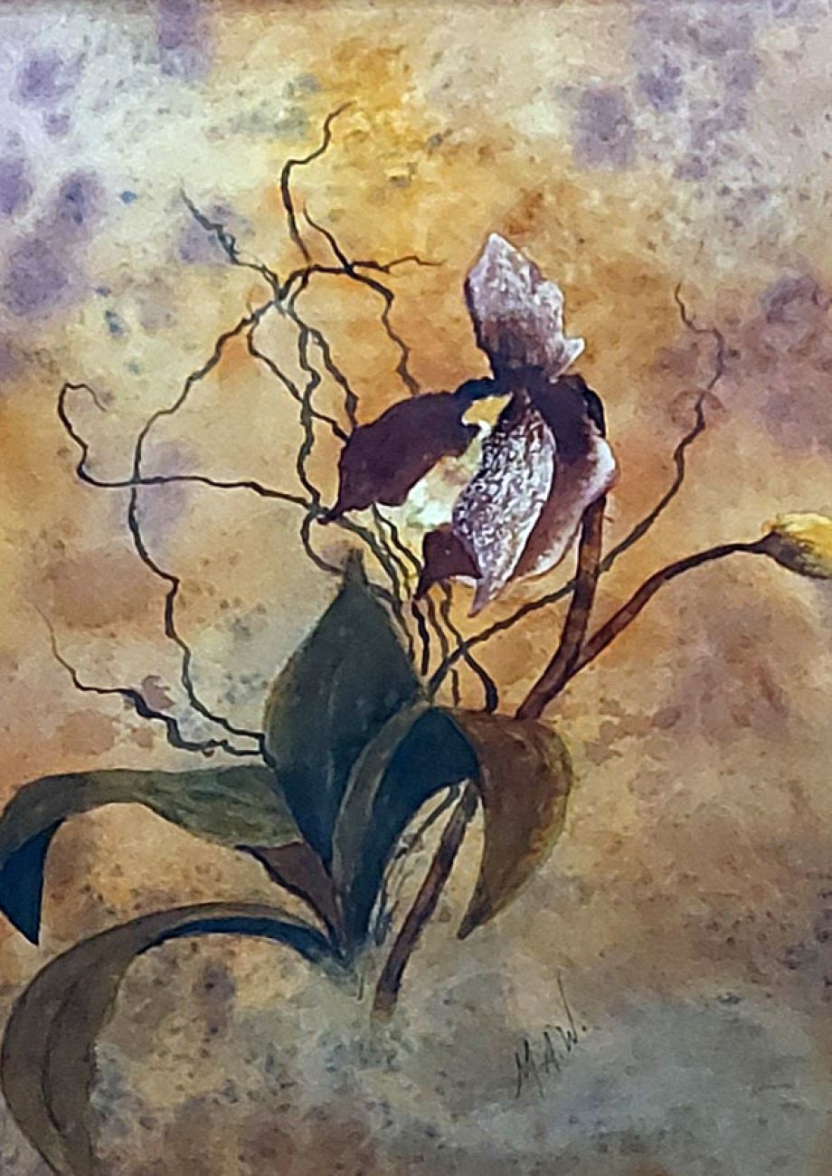 Artword by Marcella Whillans