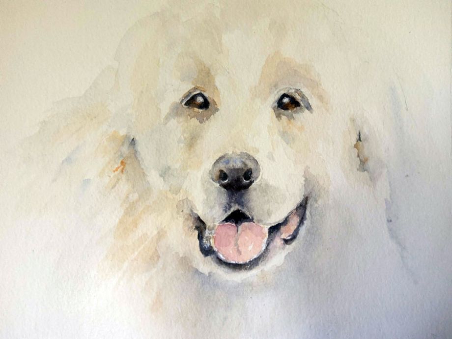 Artword by Susan Balog