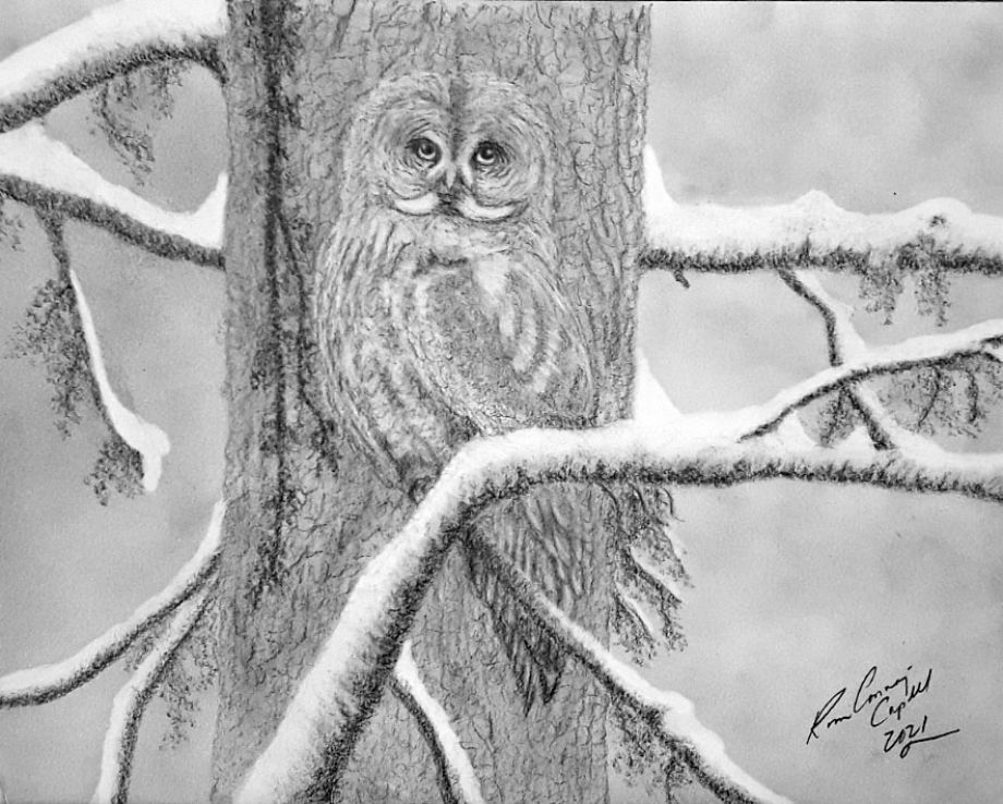 Artword by Kim Conway-Capell